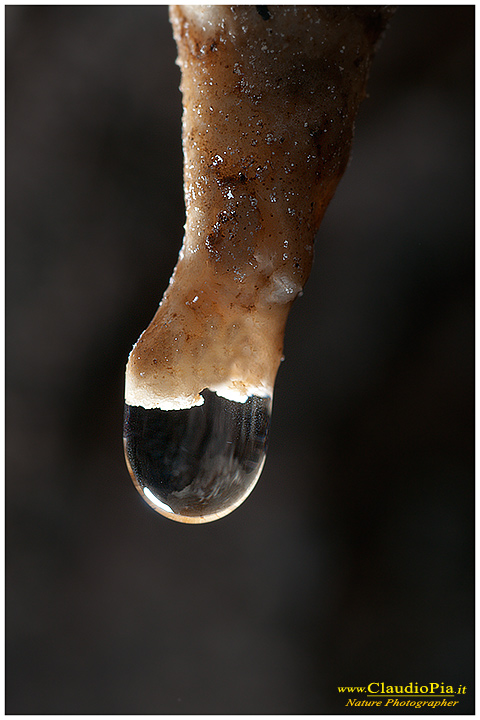 Val Graveglia, cave, mine, miniere, Nature photography, macrophotographt, drops, fotografia naturalistica, close-up, goccia, drop